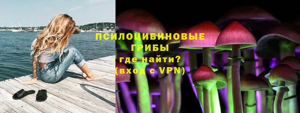сатива Вязьма