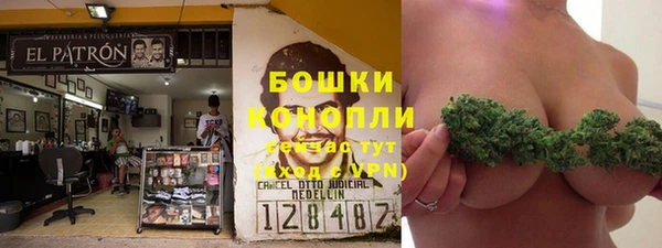 гидропоника Вяземский