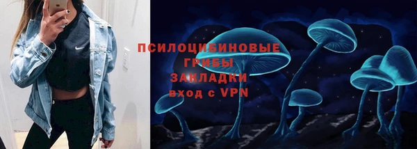 гидропоника Вяземский