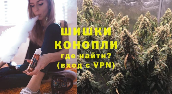 сатива Вязьма