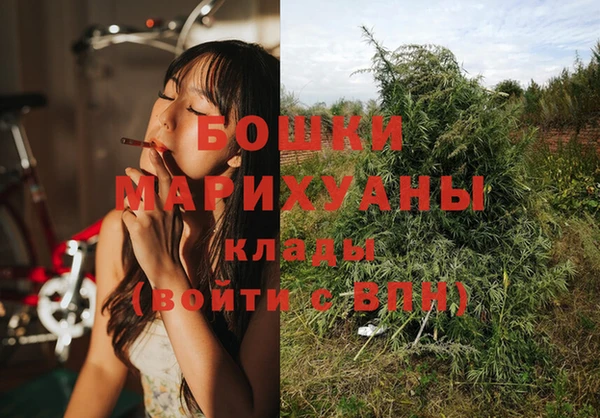 сатива Вязьма