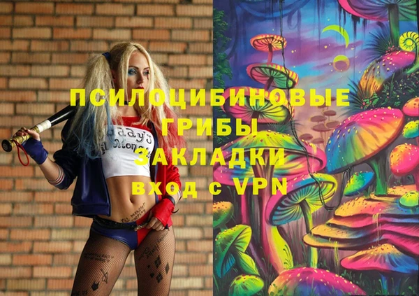 гидропоника Вяземский