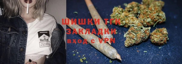 гидропоника Вяземский