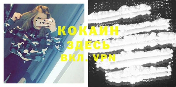сатива Вязьма